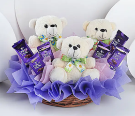 Teddy Hamper